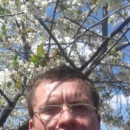 , 48, ,  