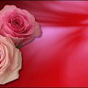 ���� Y, ������� - ��������� 14 �������� 2025 � ������ ���� ����������