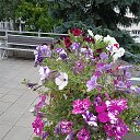 ���� ���������, ����� - ��������� 21 �������� 2025 � ������ ������ ������, �� ����������
