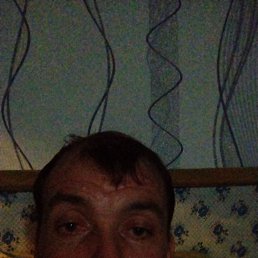 �������, 38 ���, ��������