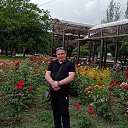 ���� ������, �����, 40 ��� - ��������� 22 ������� 2024 � ������ ���� ����������