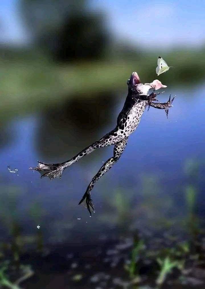 :)  .