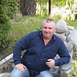 ���� ���������, ��������, 54 ���� - ��������� 3 ������ 2024