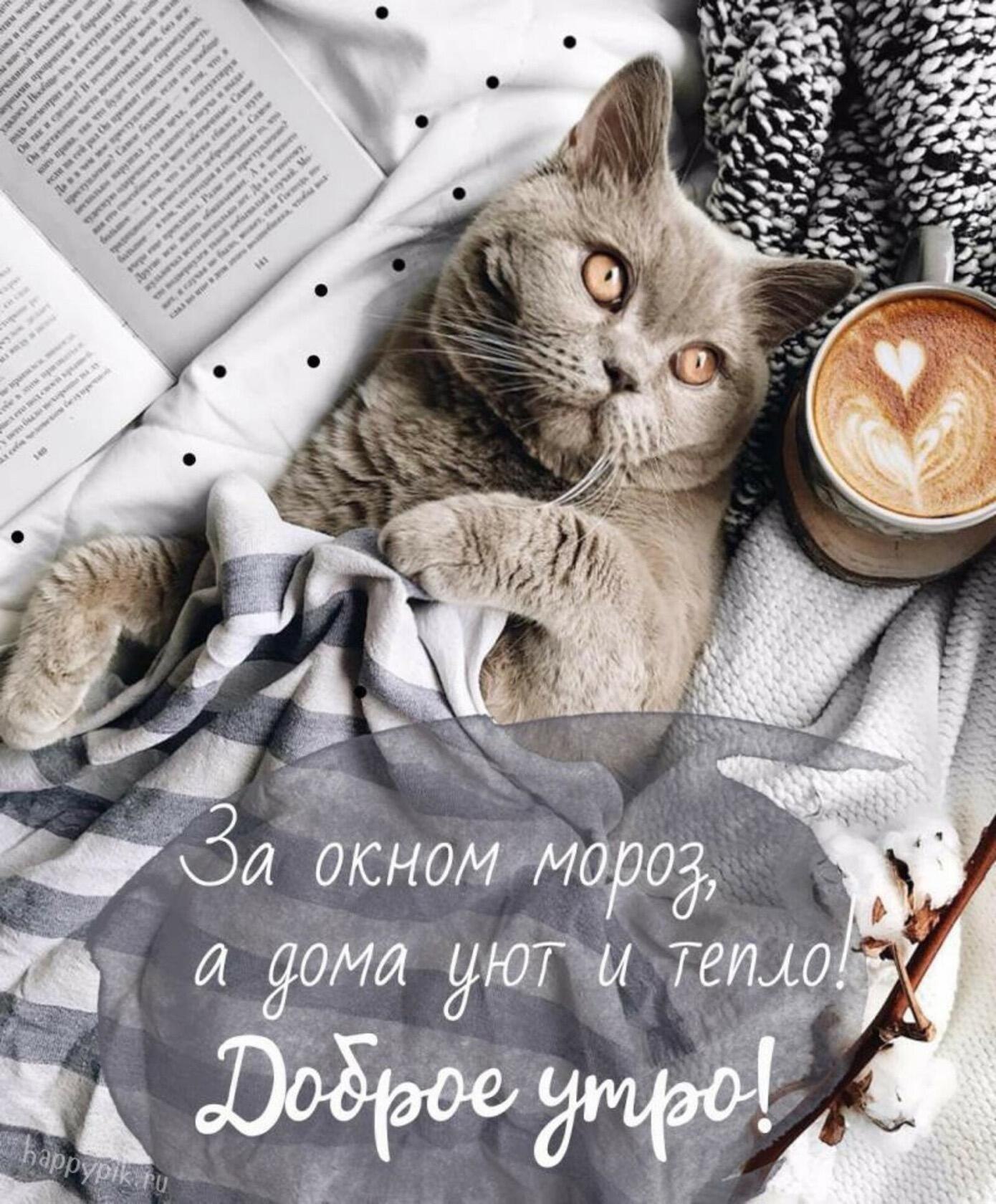 ***Victoria Viktorovna*** - 20  2024  05:32
