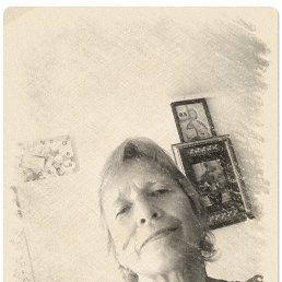 ���� �������, ���� - ��������� 13 ������ 2026