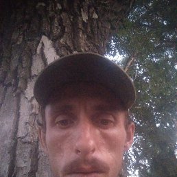 , 32, 