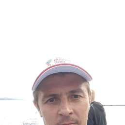 , 52, 