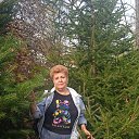 ���� �����, �����������, 51 ��� - ��������� 16 ��� 2025 � ������ ���� ����������