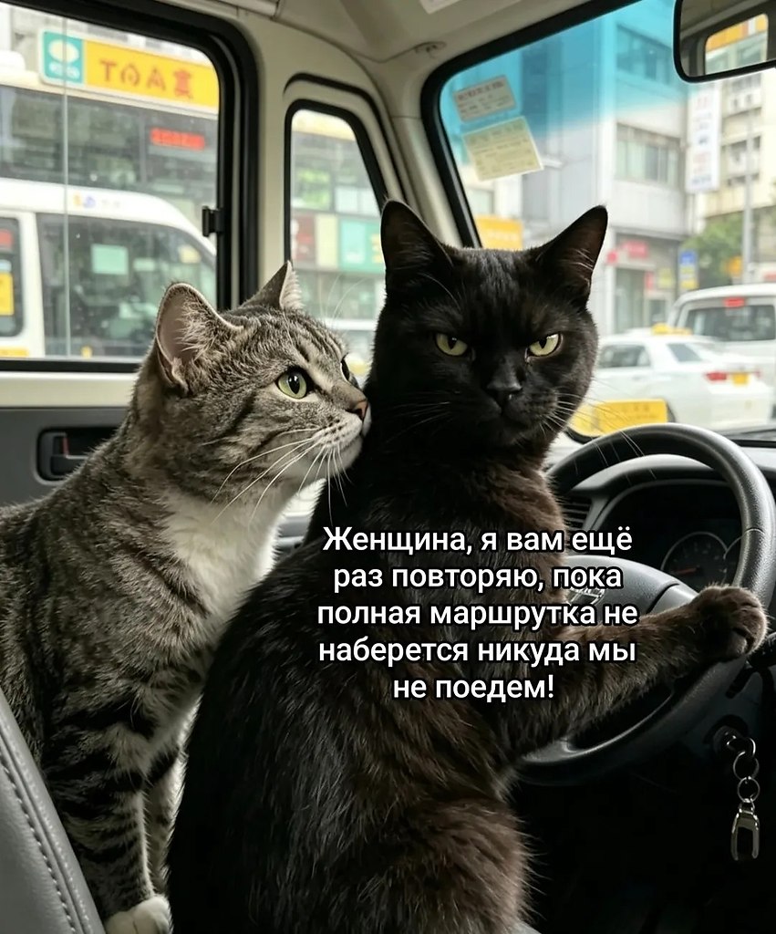 � ����... - 27 ������ 2026 � 17:23 - 2