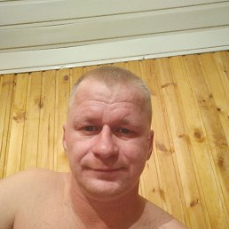 �������, 41 ���, ���������