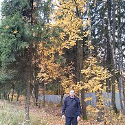 ��������, 43 ����, ������������