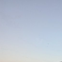 ���, ������, 63 ����