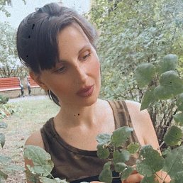 , 37, 