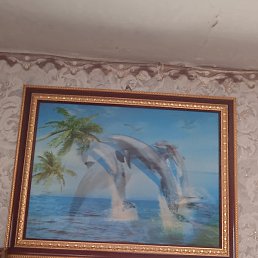 ������, ������, 34 ����