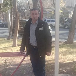  , 41, 