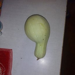 Konstantin, ���, 55 ���