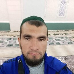 , 33, 