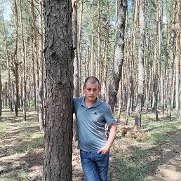 , 37, 