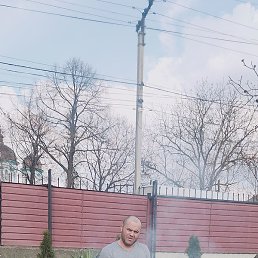 Iliea, �������, 33 ����