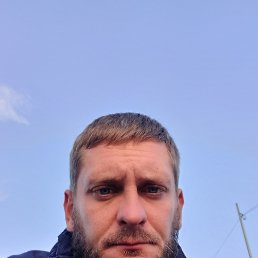 , 37, 