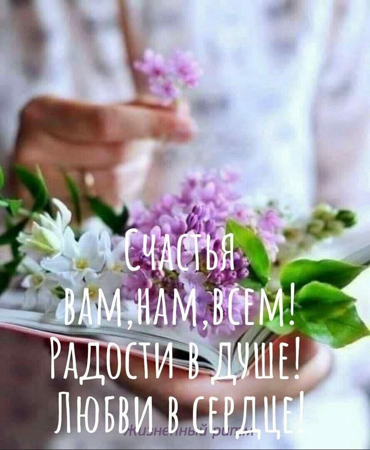   - 17  2025  07:58