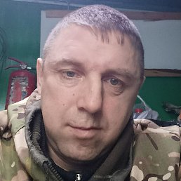 ��������, ������, 39 ���