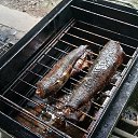 ���� ���������, ��������� - ��������� 12 ���� 2025 � ������ ���� ����������