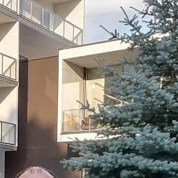 Stanislav, �����, 44 ����