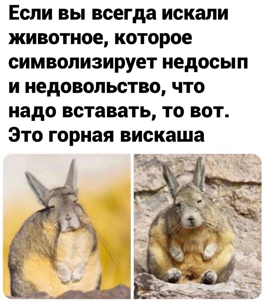 Discovery - 17  2025  19:26