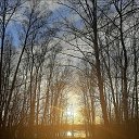 ���� ����, ������ - ��������� 6 ������ 2026 � ������ ������ ��������