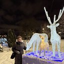 ���� ����, �����, 57 ��� - ��������� 11 ������ 2026 � ������ ������� 2026�