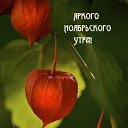 ���� �����, �����, 50 ��� - ��������� 27 ������ 2023 � ������ ���� ����������