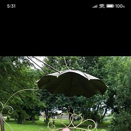 �����, 43 ����, ���������