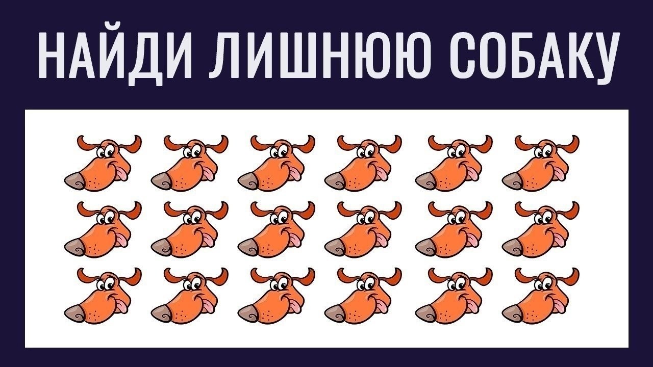 � �� ������� �����? ��� �����, ������� +++ � ������������. #����@velikieslova