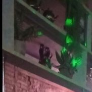 �����, 43 ����, �����