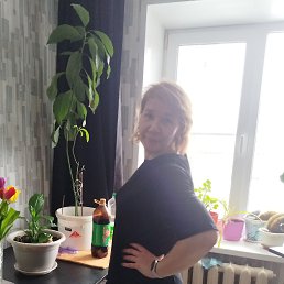���� �����, ������, 49 ��� - ��������� 22 ������ 2026