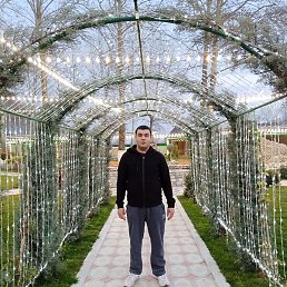 �����, ������ �������, 31 ���