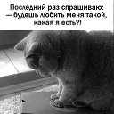 ���� �����, ������ ����� - ��������� 22 ����� 2026 � ������ ������ ��������