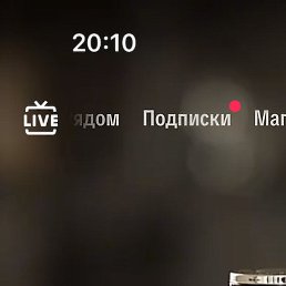 �����, �����, 18 ���