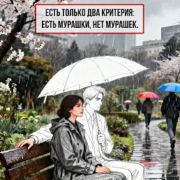 ���������, �����-���������, 38 ���