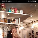 ���� �����, �������, 41 ��� - ��������� 7 ������ 2023 � ������ ���� ����������