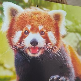 ��, ������, 32 ����