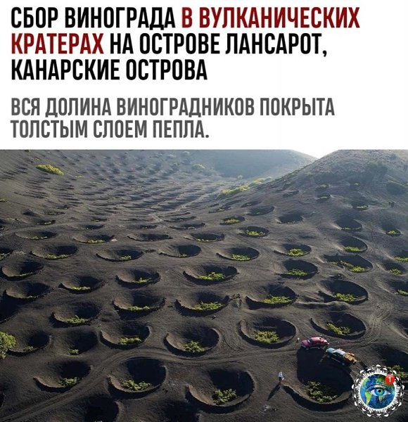 ���a �o�a ��ec� �a�� �o 40 �� ���o�pa�a