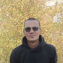 ������, �������, 41 ���