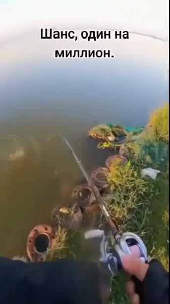 ����� �����, ��� ������ �� �� ������� �����)