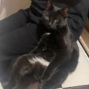 ���� ����, ������, 20 ��� - ��������� 1 ������� 2024 � ������ ���� ����������