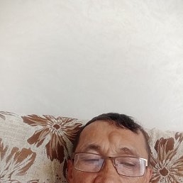 , 51, 