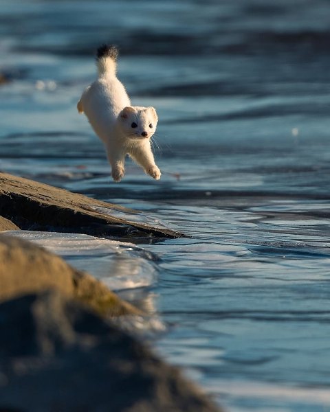��� �������! - 3