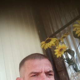 , 36, 