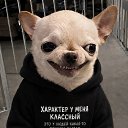 ���� ��� �����, ��������, 43 ���� - ��������� 23 ��� 2026 � ������ ���� ����������